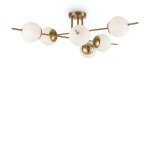 Фото 6 Потолочный светильник Freya FR5205PL-06BS