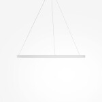 Фото 1 Подвесной светильник Maytoni MOD058PL-L54WK