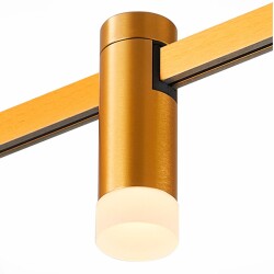 Фото ST812.246.03 Магнитный трековый светильник FARM Золотистый LED 1*3W 4000K 93Lm Ra90 120 IP20 D29xH9 FARM