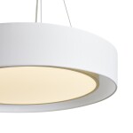 Фото 1 Подвесной светильник Freya FR6170PL-L52BS