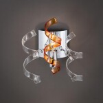 Фото 1 CL222322 Рандом Хром+Прозр+Янт Св-к Бра